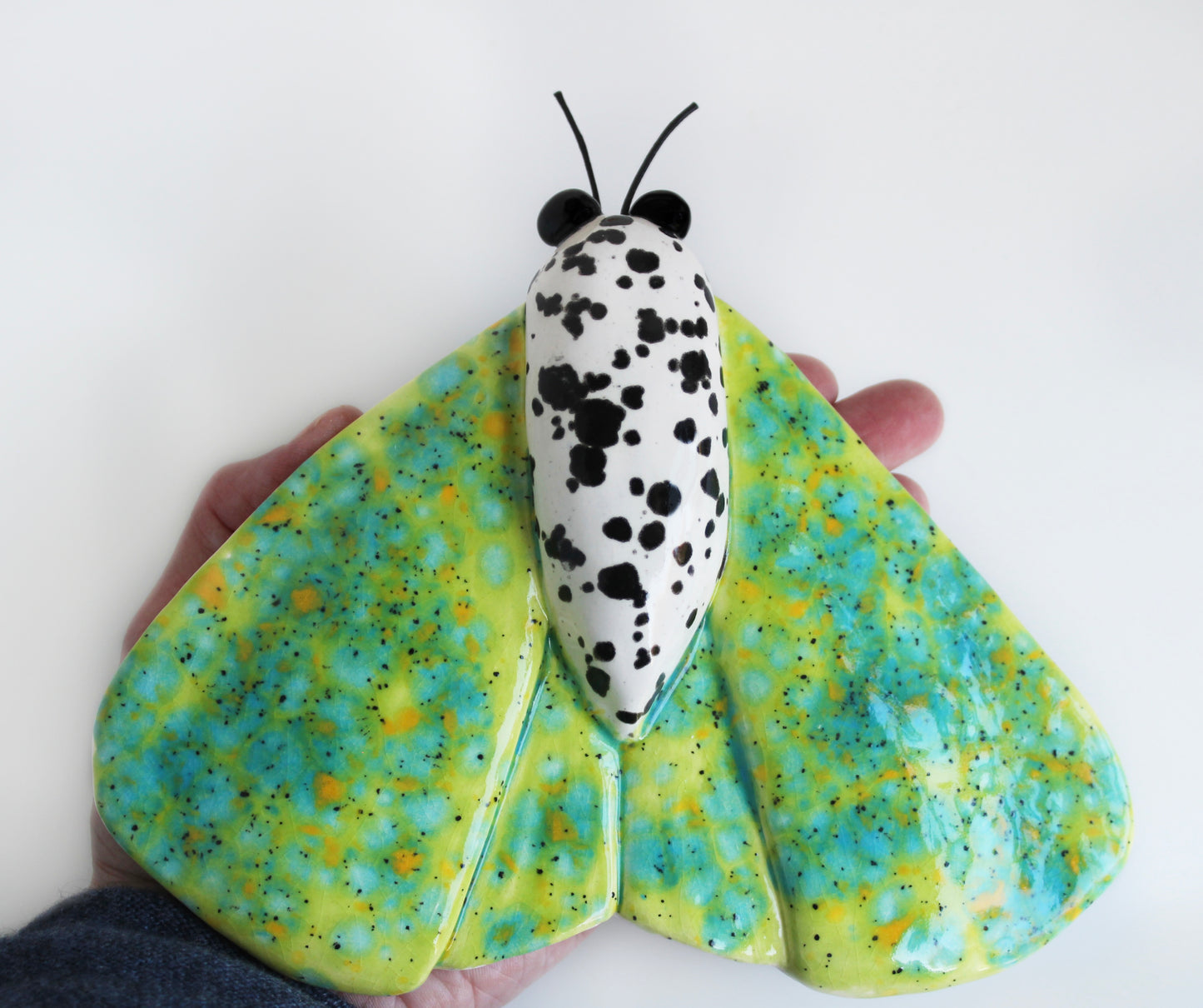 Moth wall art