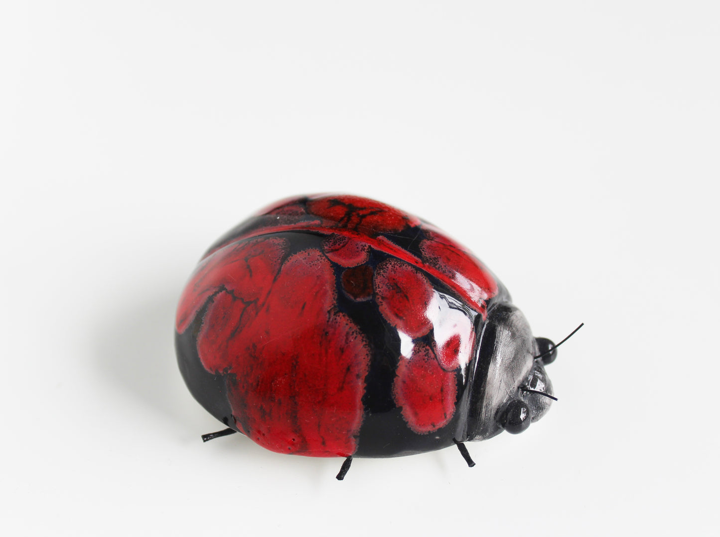 Black and Red Spot Ladybird Wall Ornament