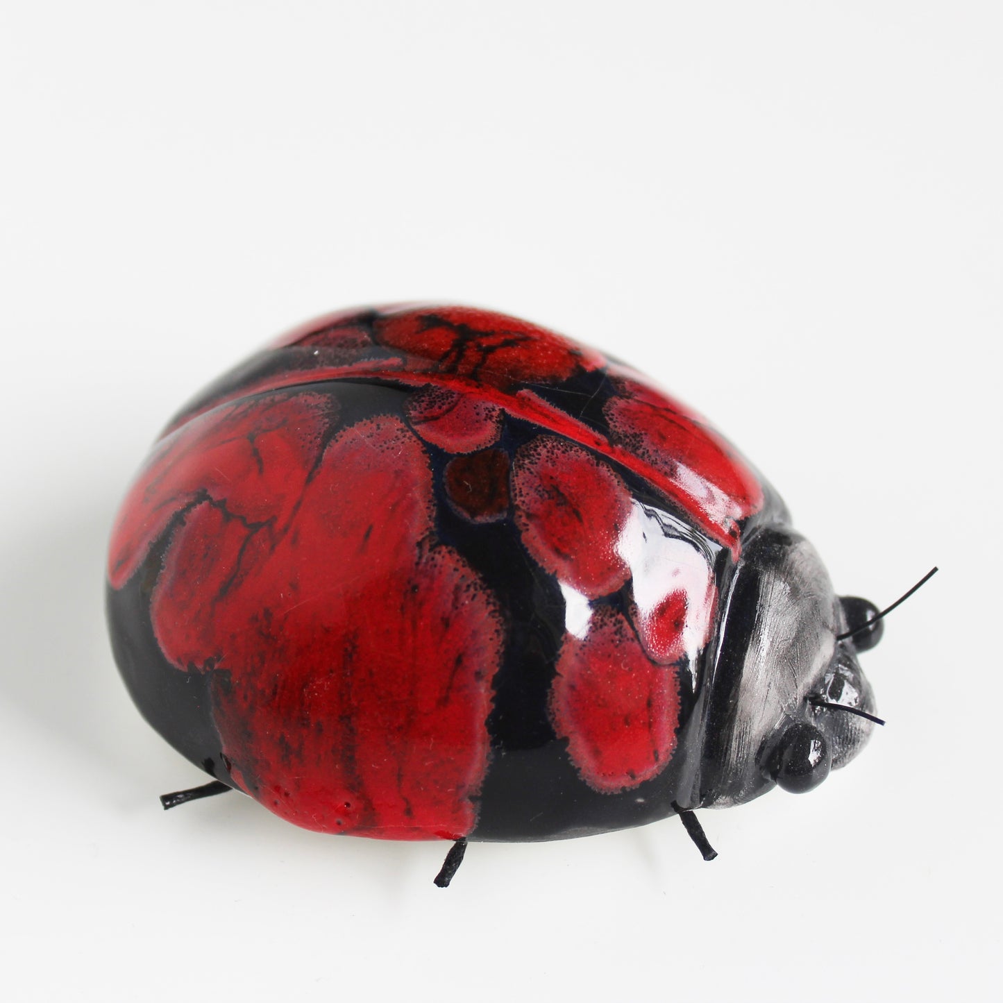 Black and Red Spot Ladybird Wall Ornament