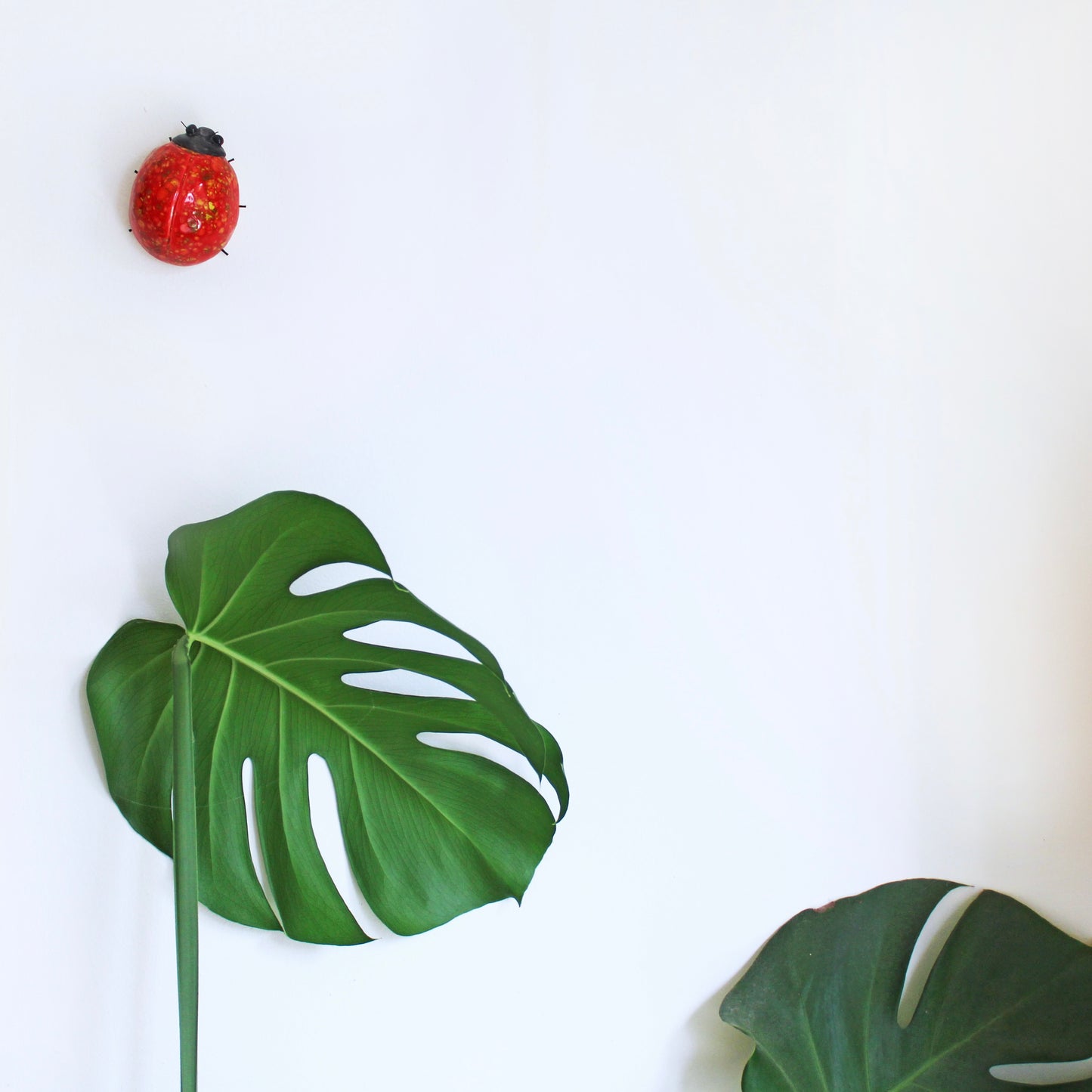 Red Speckled Ladybird Wall Decor