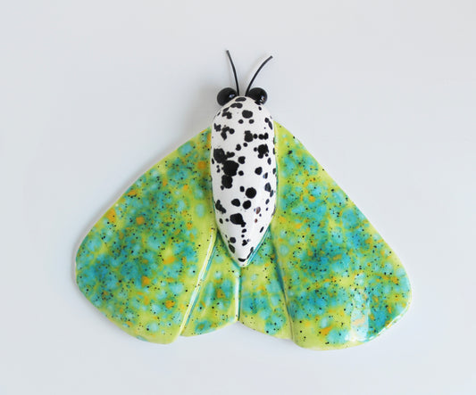 Moth wall art