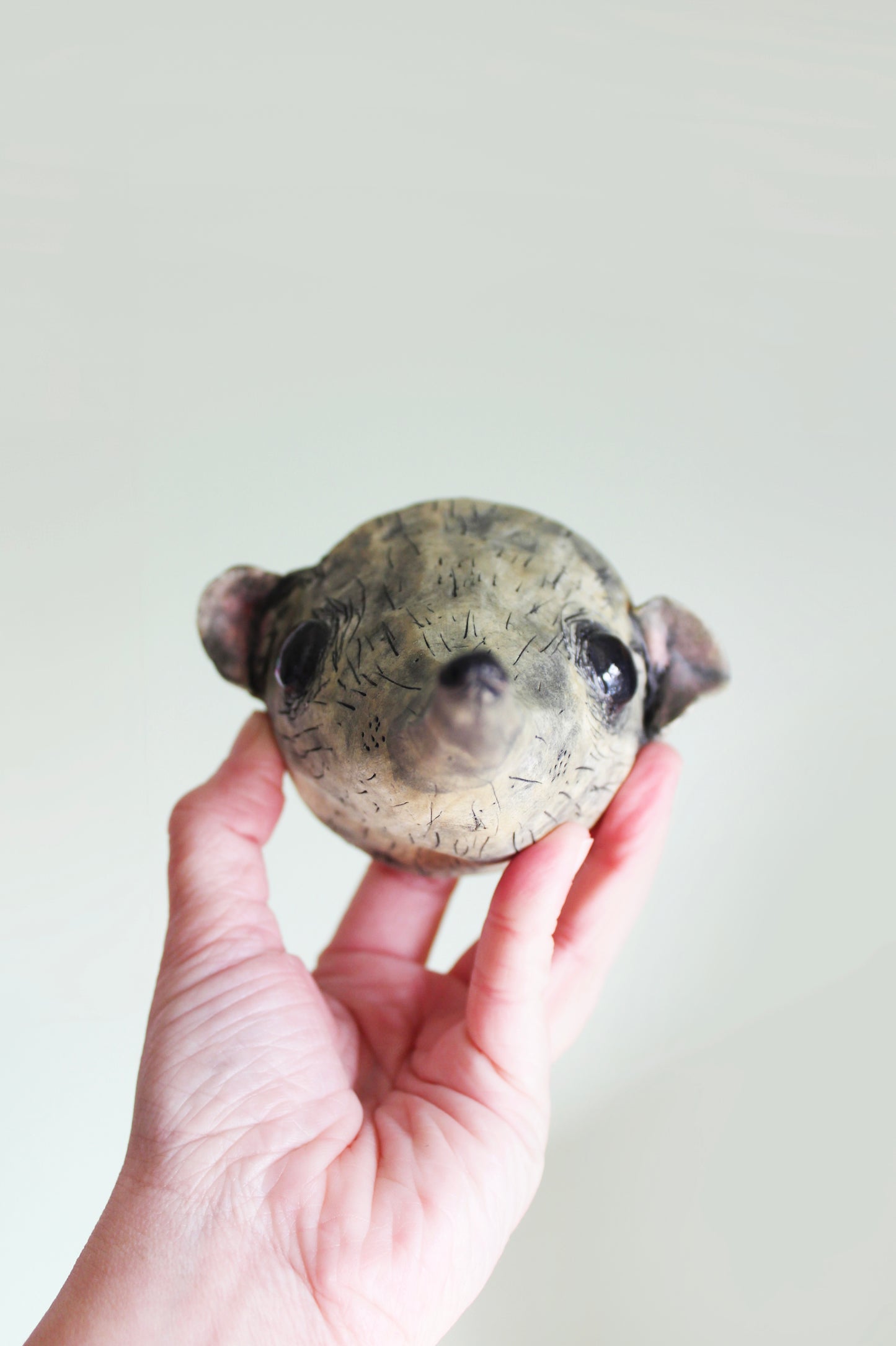 Ceramic Elephant Shrew Animal Head