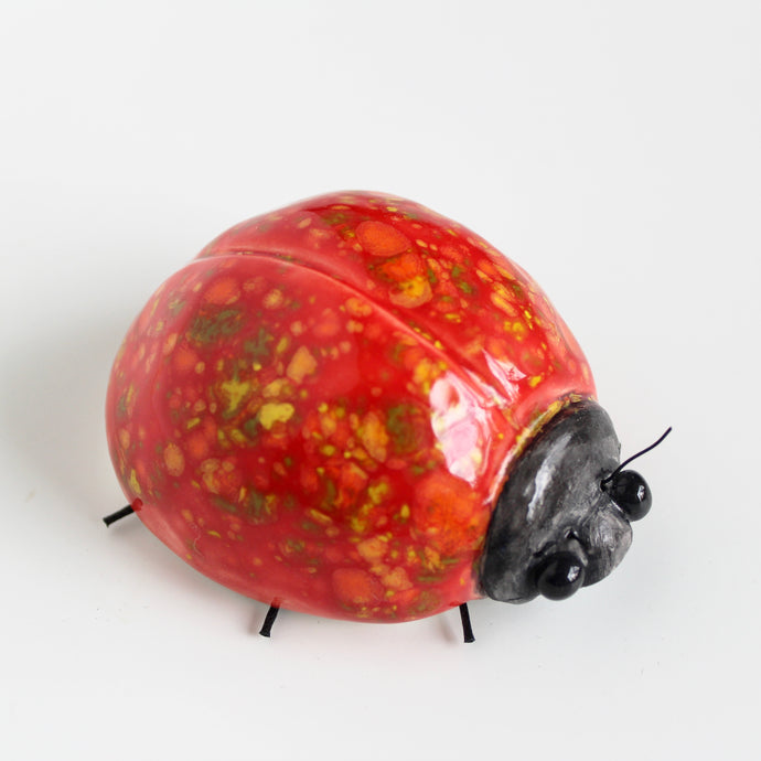 Red Speckled Ladybird Wall Decor