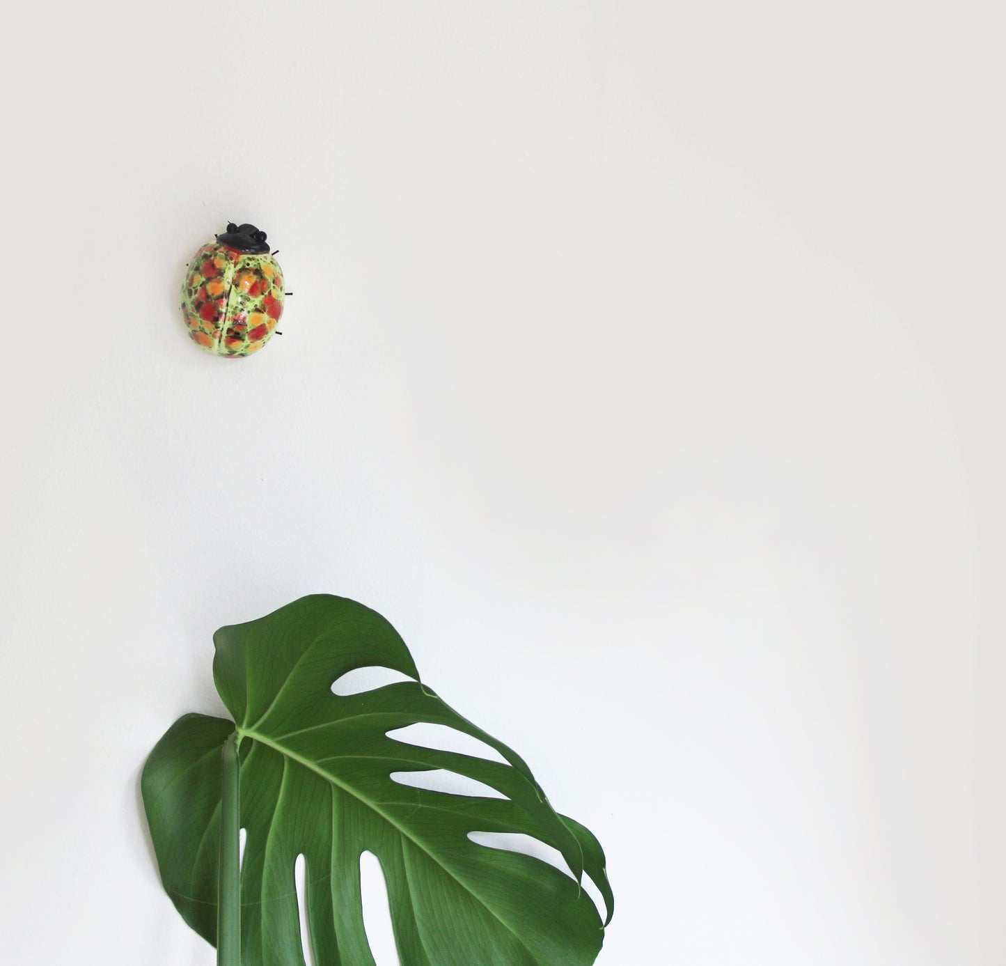 Ceramic Green Spotted Ladybird Wall Decor