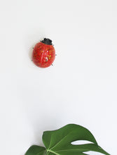 Red Speckled Ladybird Wall Decor