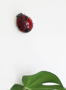 Black and Red Spot Ladybird Wall Ornament