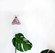 Ceramic Pink Speckled Moth Wall Decor